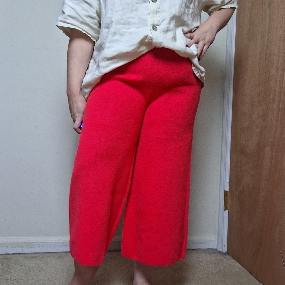 J. Crew Cropped Wide Leg 100% Merino Wool High Rise Pull On Culottes Pants  XS